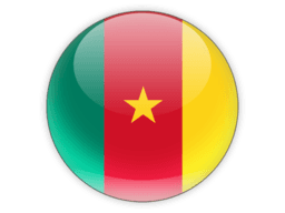 Flag of Cameroon